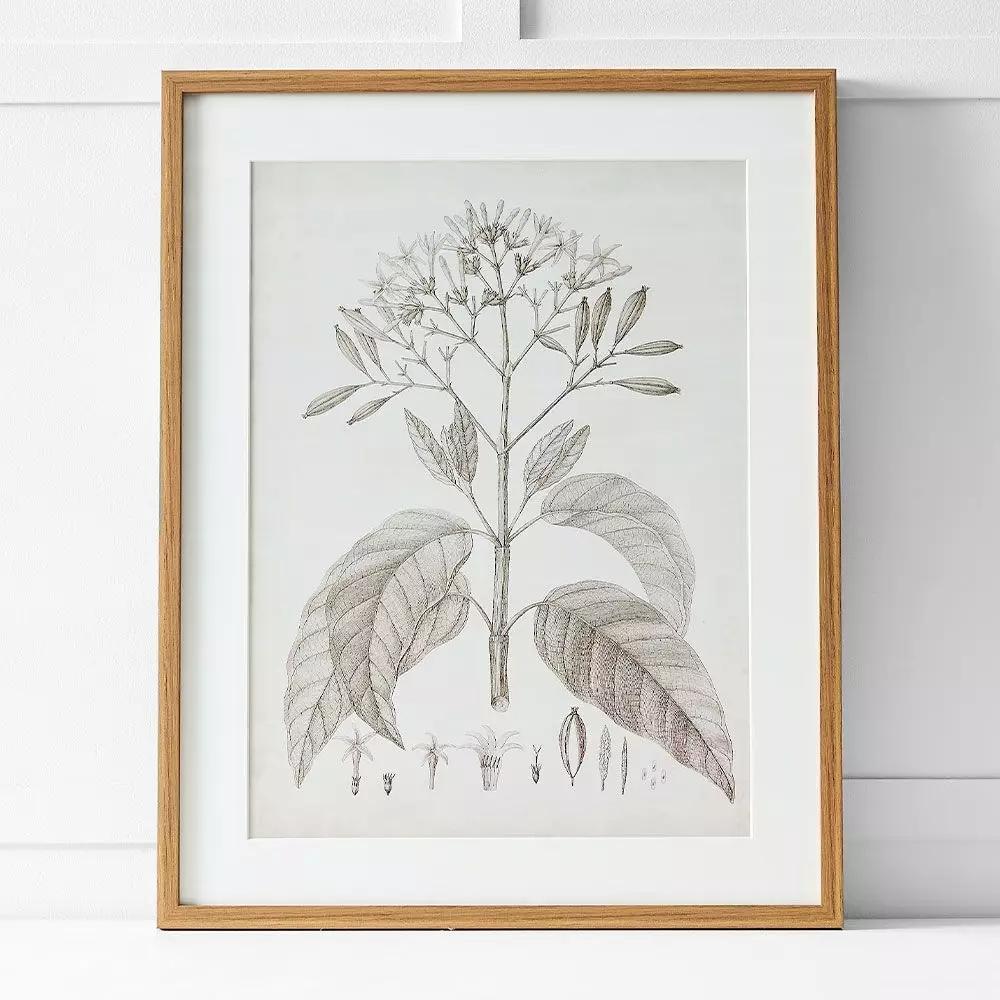 Artwork | Floreal Print I 60X76 Natural & White Artwork Artwork