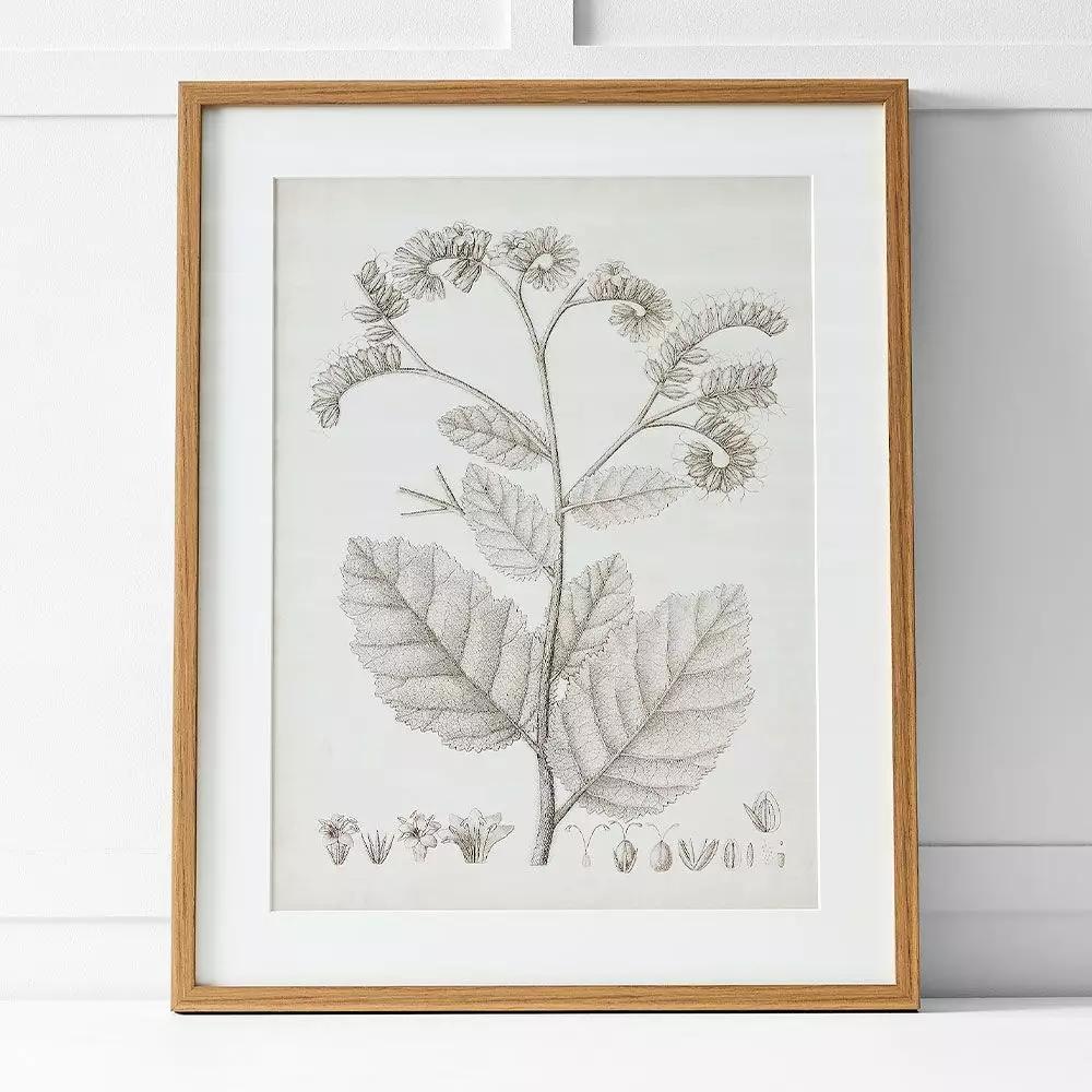 Artwork | Floreal Print Ii 60X76 Natural & White Artwork Artwork