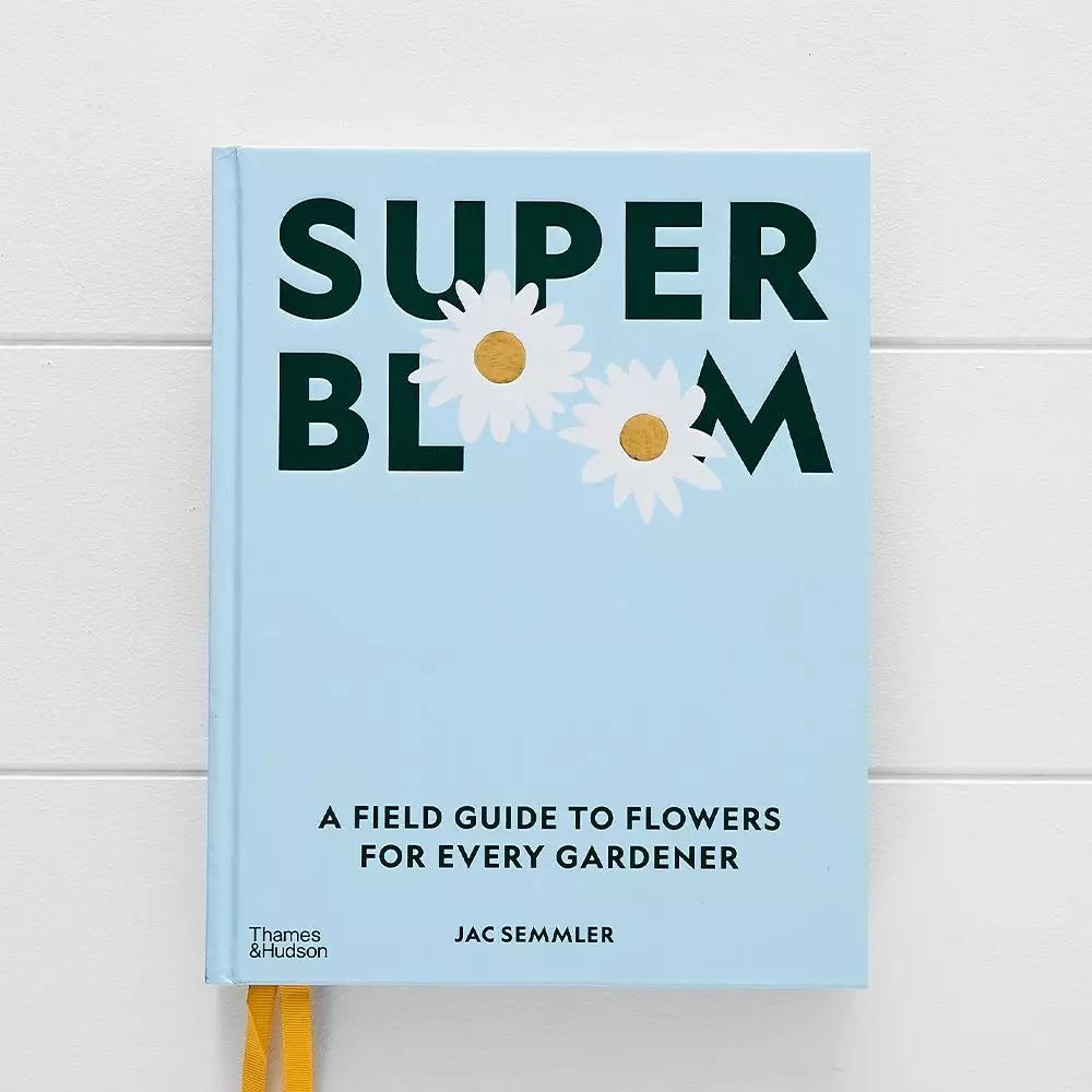 Books | Super Bloom Multi Books Books