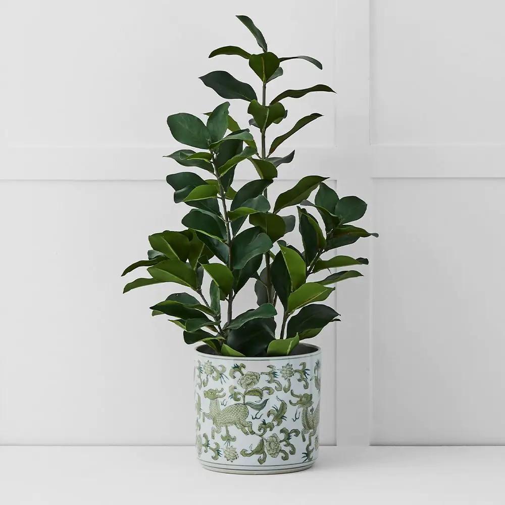 Decorative Accents | Longma Planter White & Bayleaf Decorative Accents Decorative Accents