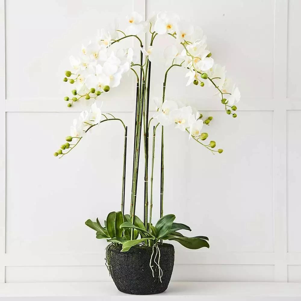 Flowers & Greenery | Blume 9 Stem Orchid White Flowers & Greenery Flowers & Greenery