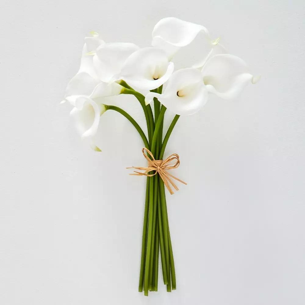 Flowers & Greenery | Calla Lily Bunch White Flowers & Greenery Flowers & Greenery