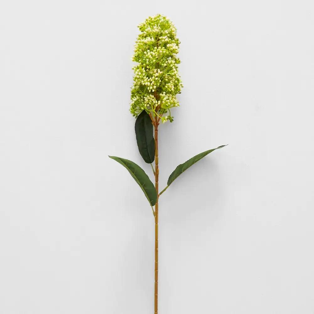 Flowers & Greenery | Green Skimmia Stem Green Flowers & Greenery Flowers & Greenery