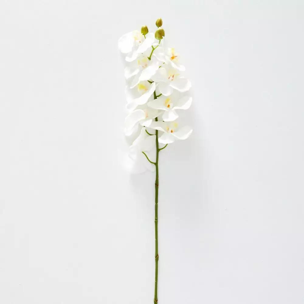 Flowers & Greenery | Orchid Stem White Flowers & Greenery Flowers & Greenery