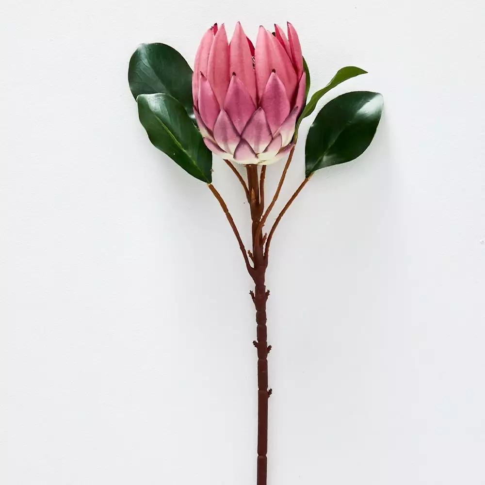 Flowers & Greenery | Protea Flower Pink Flowers & Greenery Flowers & Greenery