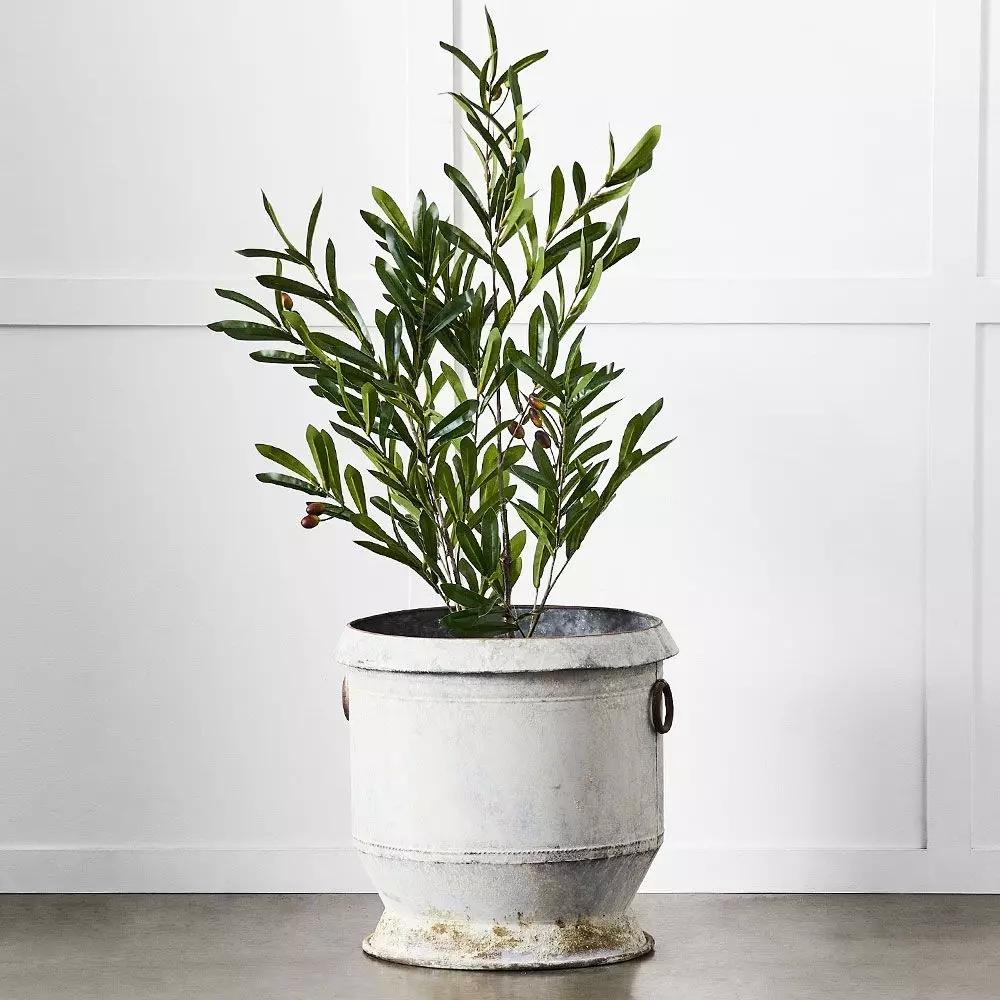 Pots, Planters & Urns | Gruyere Flowerpot L Grey Homewares Grey