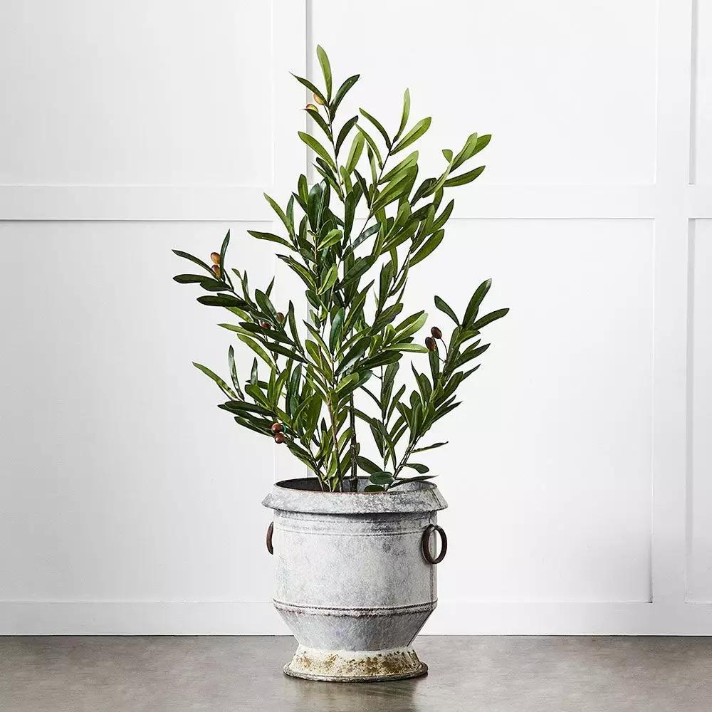 Pots, Planters & Urns | Gruyere Flowerpot S Grey Homewares Grey