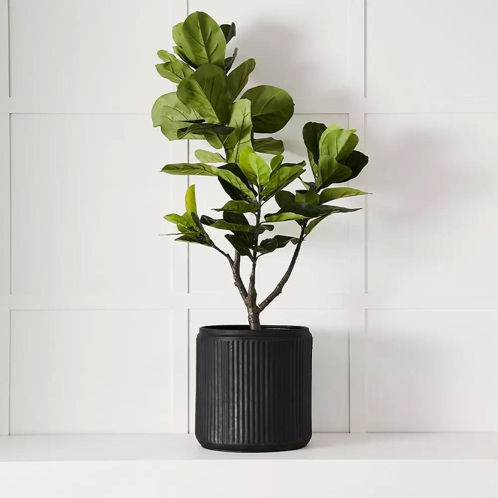 Pots, Planters & Urns | Napoli Planter L Black Homewares Black