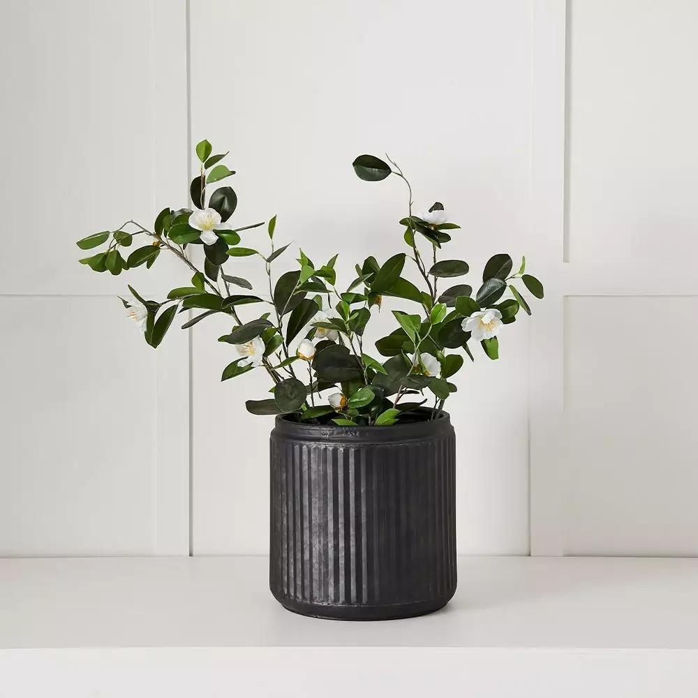 Pots, Planters & Urns | Napoli Planter S Black Homewares Black