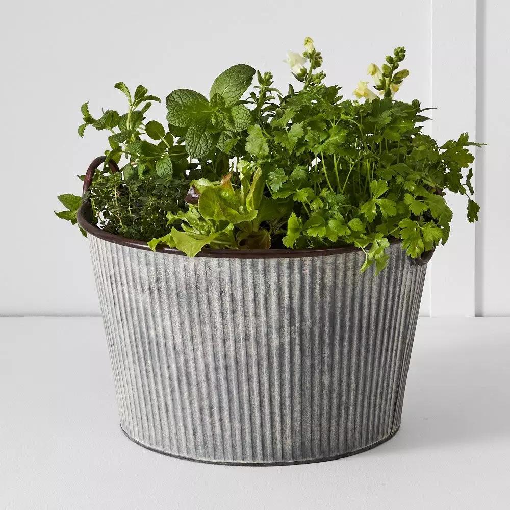 Pots, Planters & Urns | Palmer Tub L Grey Homewares Grey