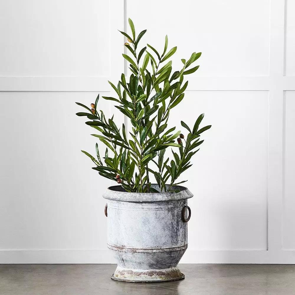 Pots, Planters & Urns | Gruyere Flowerpot M Grey Homewares Grey