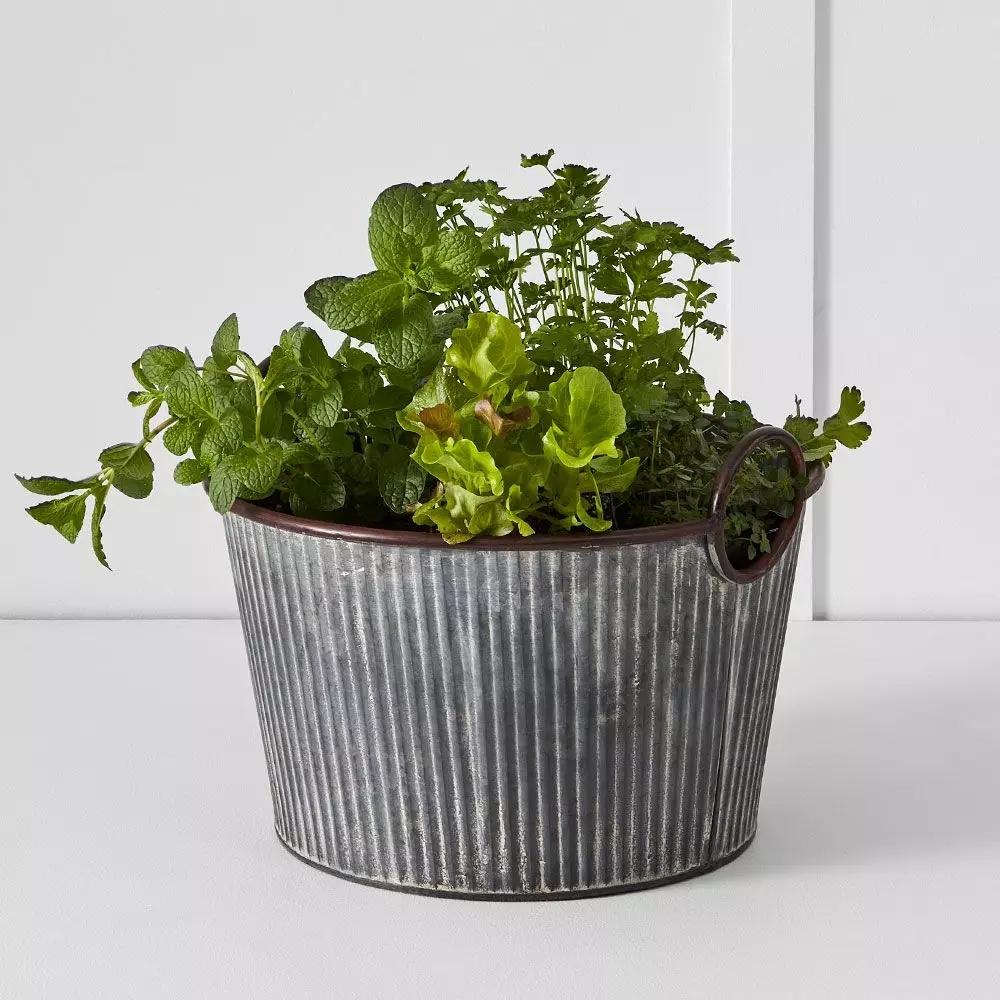 Pots, Planters & Urns | Palmer Tub M Grey Homewares Grey