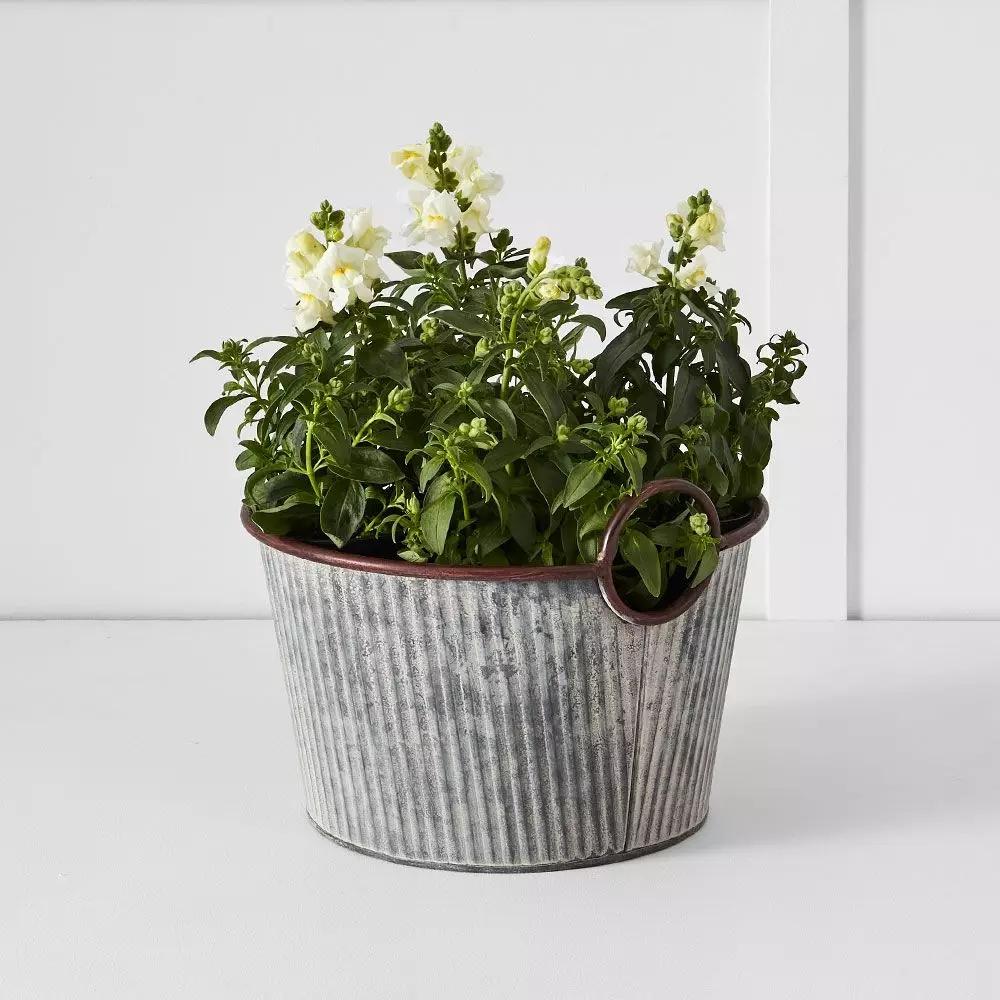 Pots, Planters & Urns | Palmer Tub S Grey Homewares Grey